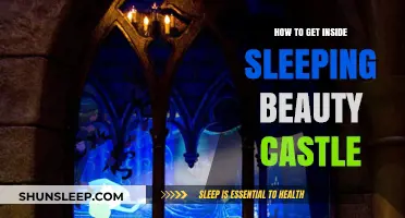Unlocking the Magic: Exploring Inside Sleeping Beauty Castle at Disneyland