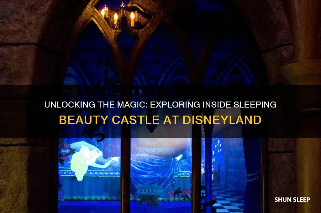 how to get inside sleeping beauty castle