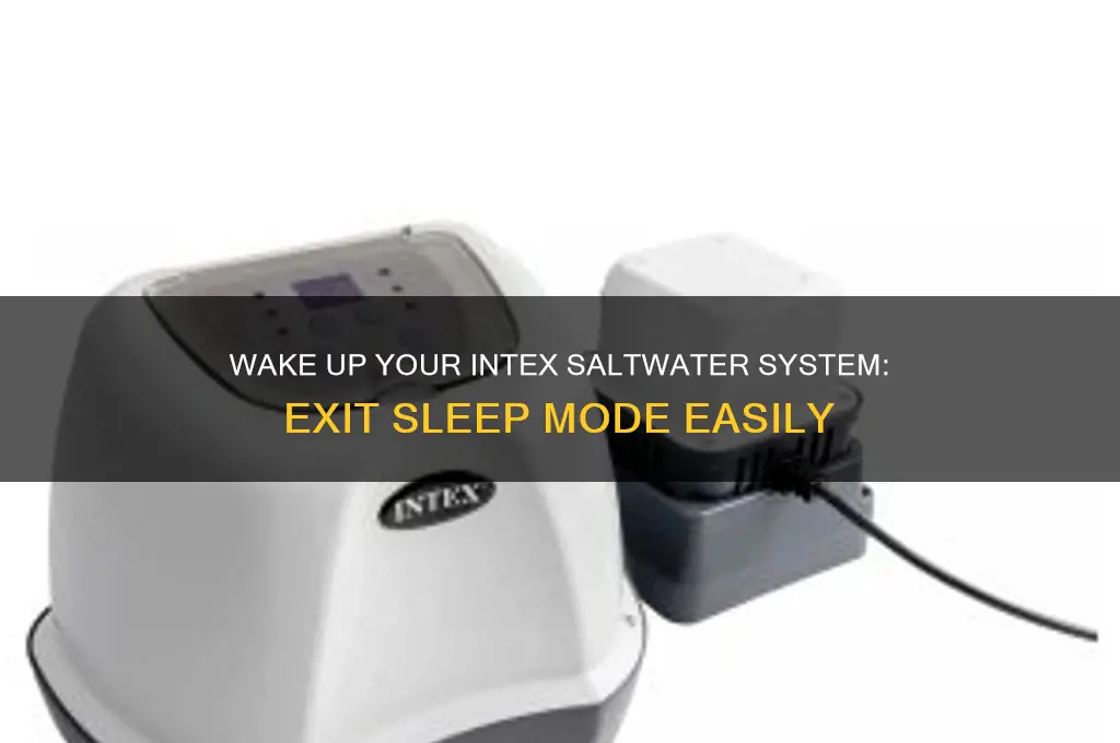 how to get intex saltwater system out of sleep mode