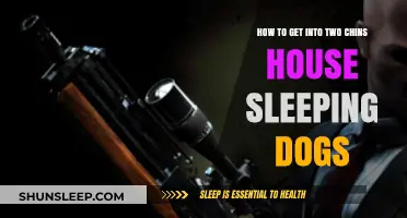 Mastering Two Chin's House Sleeping Dogs: A Stealthy Guide