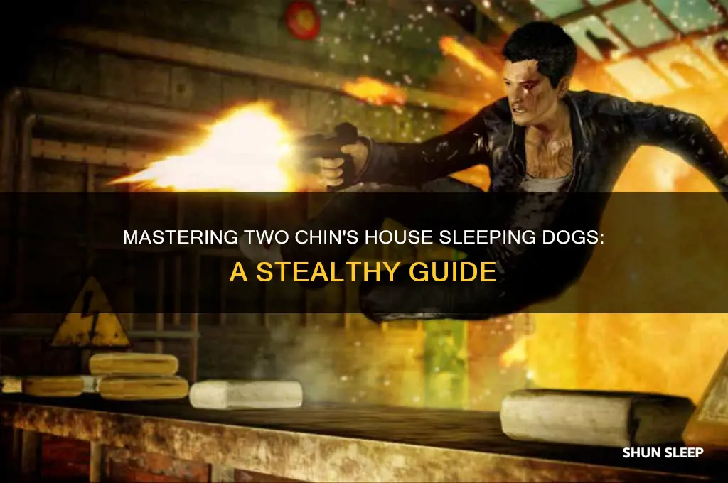 how to get into two chins house sleeping dogs