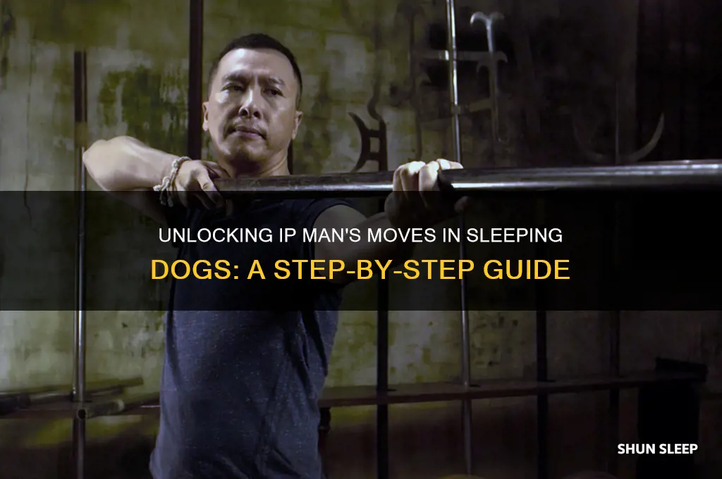how to get ip man in sleeping dogs