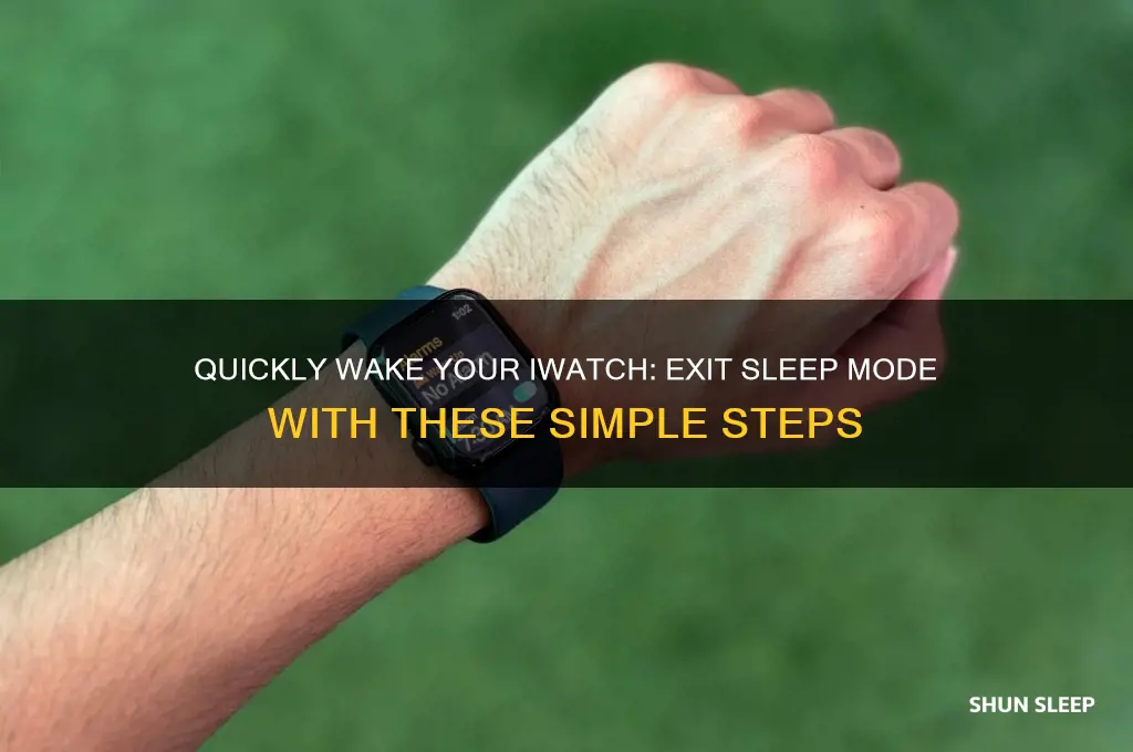 how to get iwatch out of sleep mode