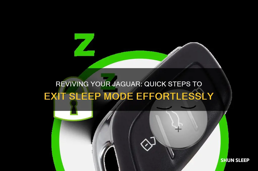 how to get jaguar out of sleep mode