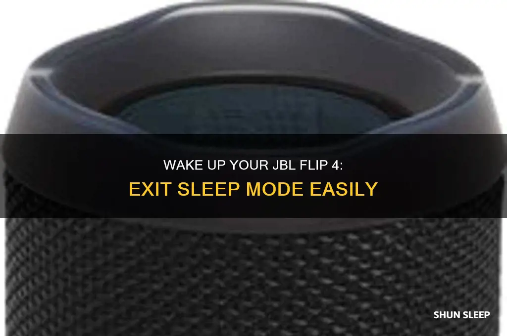 how to get jbl flip 4 out of sleep mode
