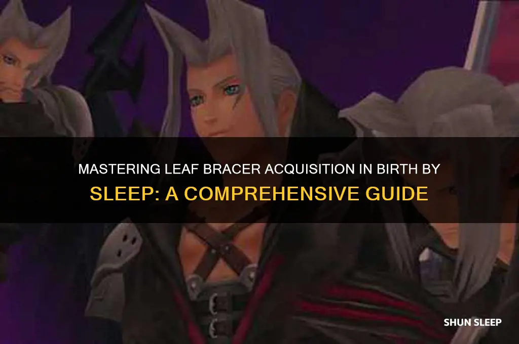 how to get leaf bracer birth by sleep