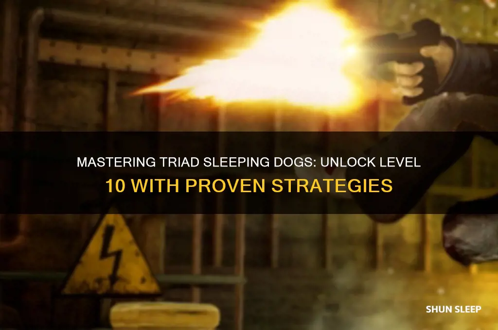 how to get level 10 triad sleeping dogs