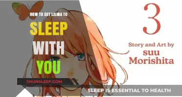 Mastering the Art of Cozy Nights: Lilina's Sleep Companion Guide