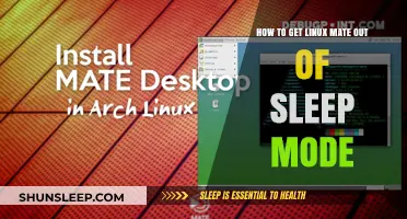 Wake Up Linux MATE: Quick Fixes to Exit Sleep Mode