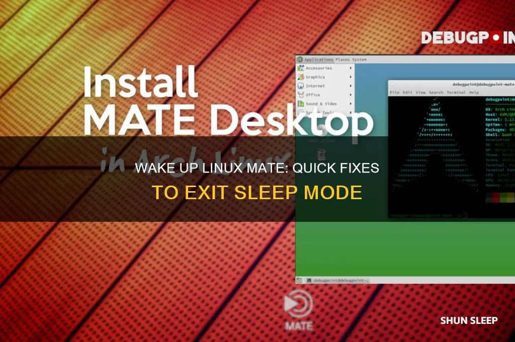 how to get linux mate out of sleep mode
