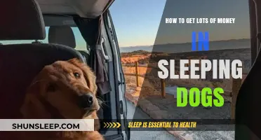 Maximize Wealth in Sleeping Dogs: Top Money-Making Strategies Revealed