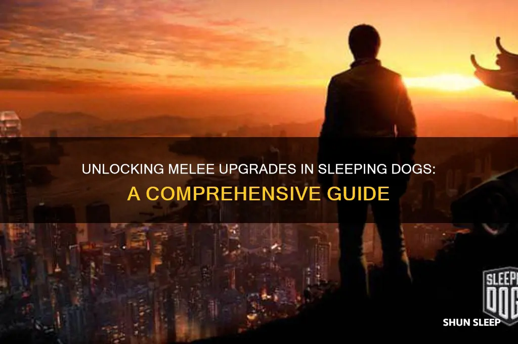 how to get melee upgrades sleeping dogs