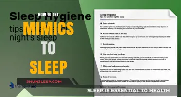Mastering Mimic Sleep: Proven Strategies for Restful Nights