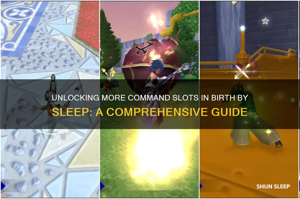how to get more command slots in birth by sleep