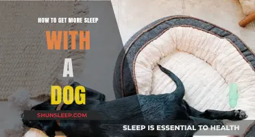 Tips for Better Sleep with Your Dog: A Peaceful Night's Guide