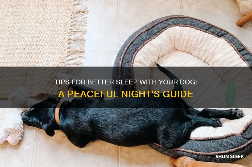 how to get more sleep with a dog