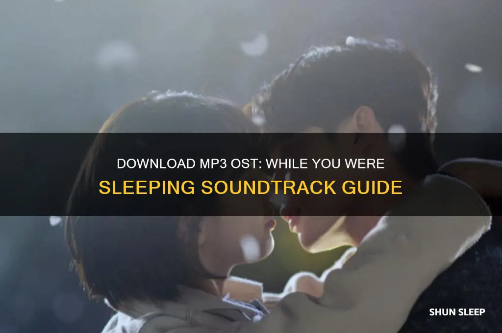 how to get mp3 ost while you were sleeping