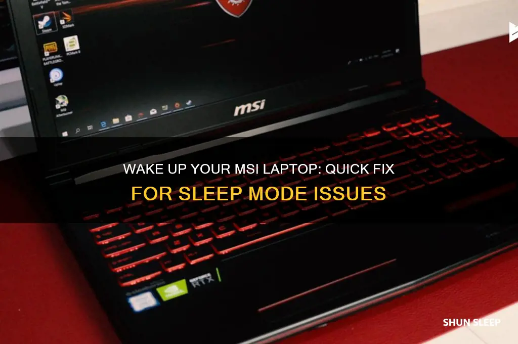 how to get msi laptop out of sleep mode