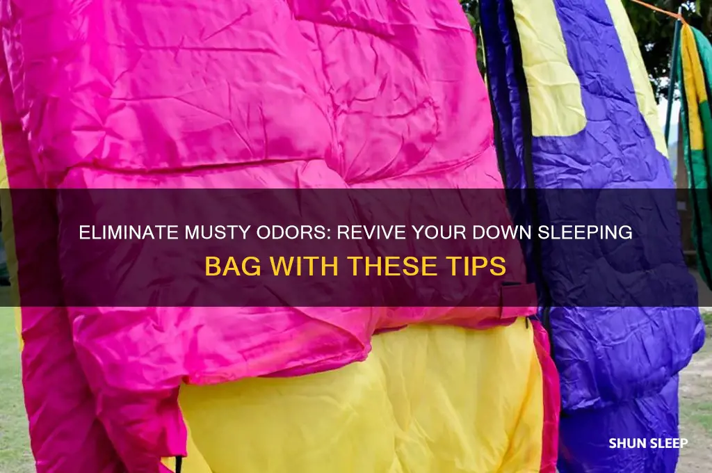 how to get musty smell out of down sleeping bag