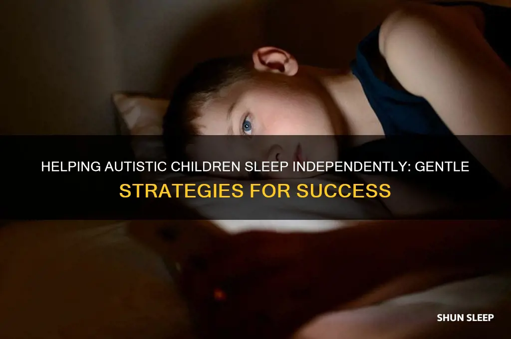 how to get my autistic child to sleep alone