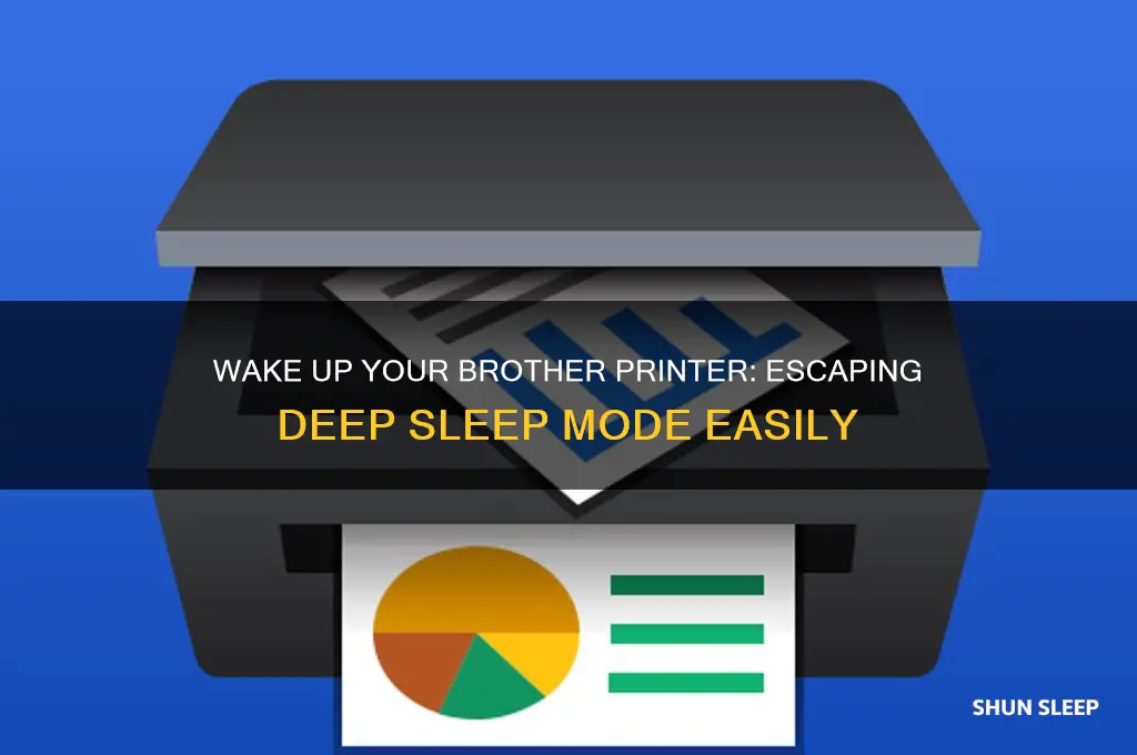 how to get my brother printer out of deep sleep