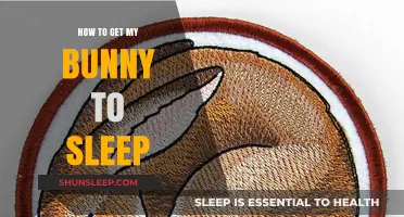 Helping Your Bunny Sleep: Tips for a Peaceful Night's Rest