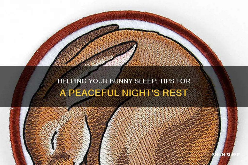 how to get my bunny to sleep