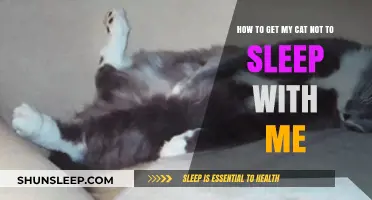 Training Your Cat to Sleep Alone: Tips for Peaceful Nights