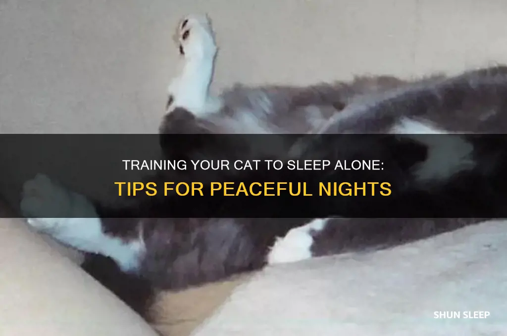 how to get my cat not to sleep with me