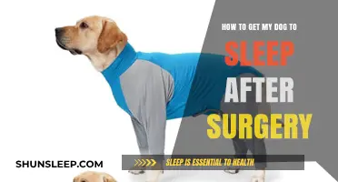 Helping Your Dog Rest Comfortably After Surgery: Tips for Peaceful Sleep