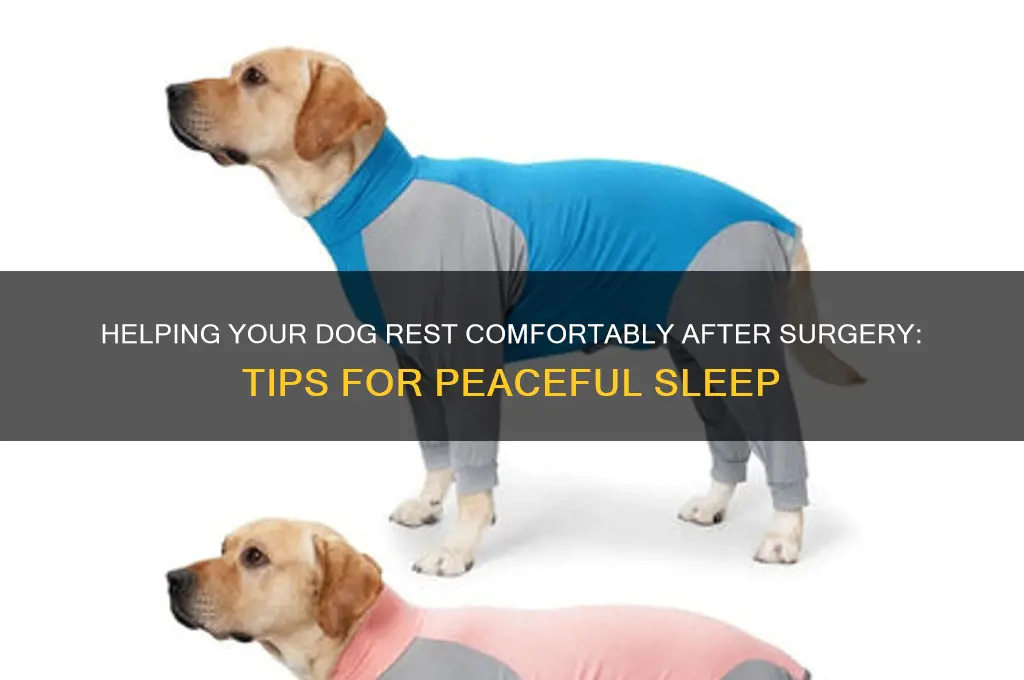 how to get my dog to sleep after surgery