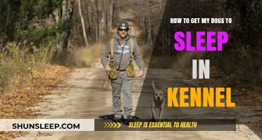 Training Tips: How to Get Your Dogs to Sleep in Kennel