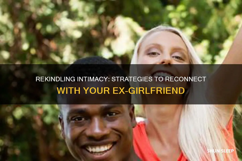 how to get my ex girlfriend to sleep with me