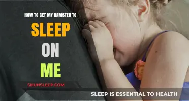 Cozy Bonding Tips: Getting Your Hamster to Sleep Comfortably on You