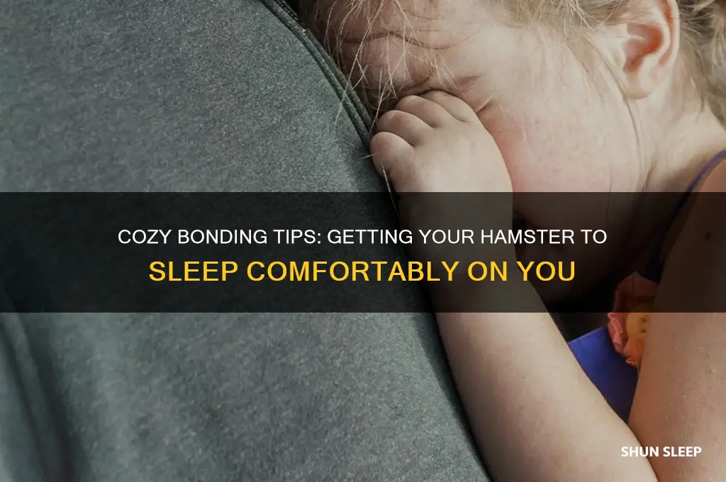 how to get my hamster to sleep on me