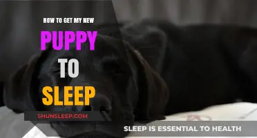 Helping Your New Puppy Sleep: Tips for a Peaceful Night