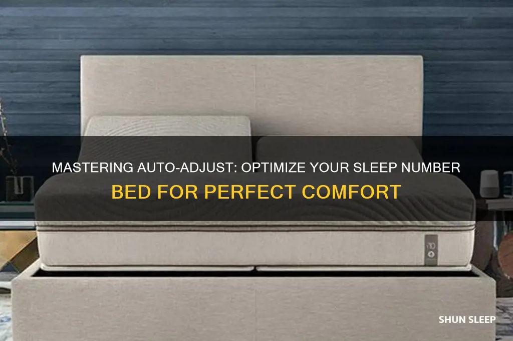 how to get my sleep number bed to automatically adjust
