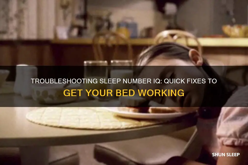 how to get my sleep number iq to work