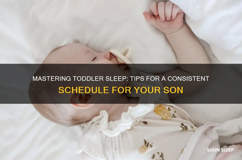how to get my son on sleep schedule toddler