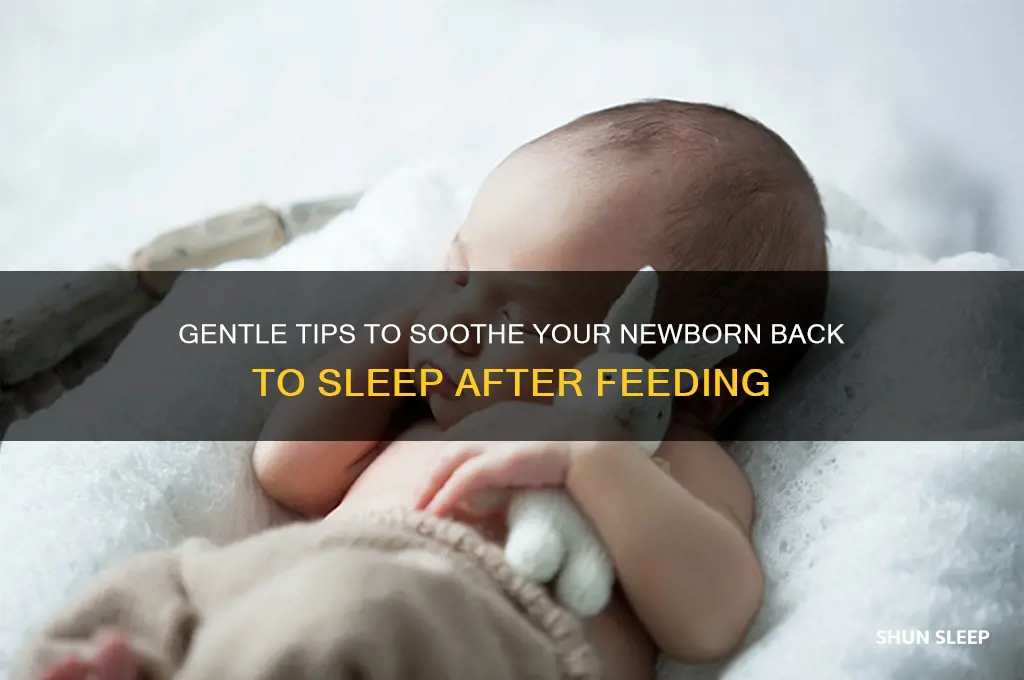 how to get newborn back to sleep after feeding