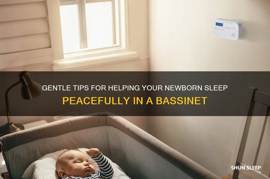 how to get newborn to sleep in basinet