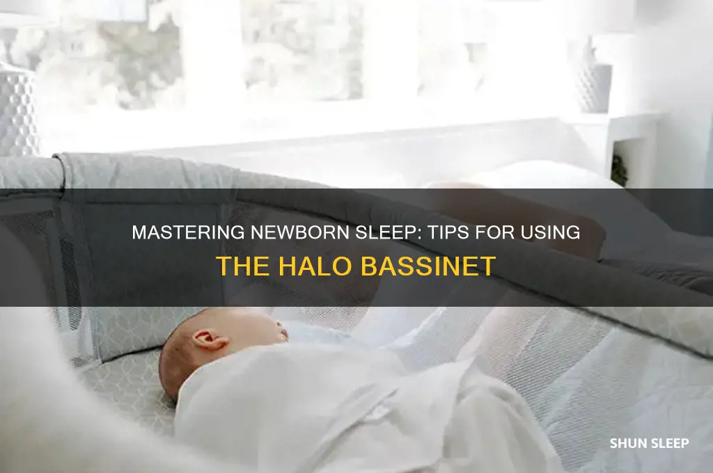 how to get newborn to sleep in halo
