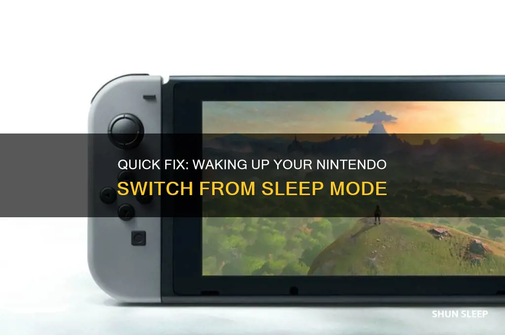 how to get nintendo switch off sleep mode
