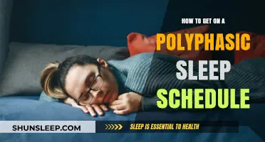 Mastering Polyphasic Sleep: Tips for Transitioning to a Multi-Phase Schedule