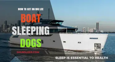 Mastering Big Lee Boat Sleeping Dogs: Tips for Seamless Access