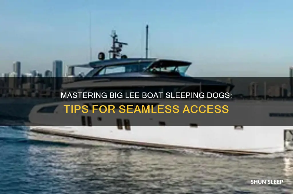 how to get on big lee boat sleeping dogs