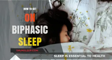 Mastering Biphasic Sleep: Tips for a Productive Dual-Phase Rest Routine
