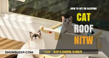 Mastering the Sleeping Cat Roof in NitW: A Step-by-Step Guide