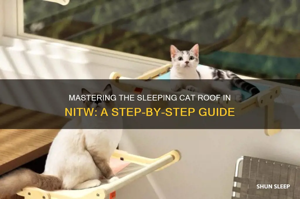 how to get on sleeping cat roof nitw