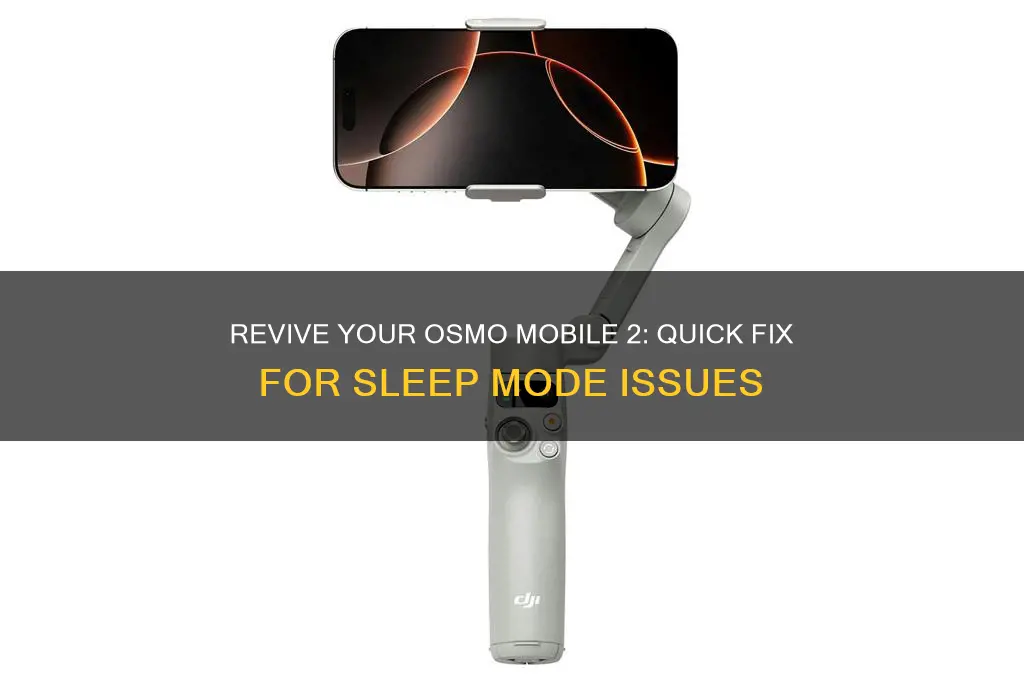 how to get osmo mobile 2 out of sleep mode